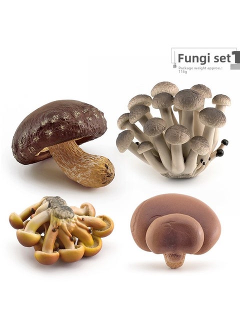 Simulation Fungus Mushroom Model Lentinus Edodes Long Skirt Bamboo Mushroom Poisonous Rope Umbrella Real Agaricus Mushroom Matsutake Amanita Mushroom Ornaments-Color:Fungi Set 1 116g