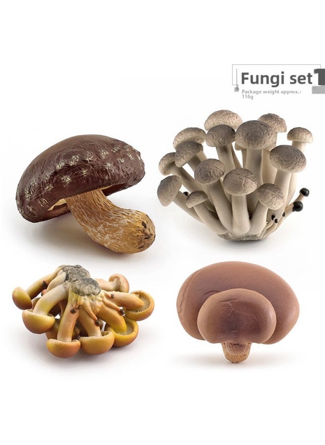 Generic - Simulation Fungus Mushroom Model Lentinus Edodes Long Skirt Bamboo Mushroom Poisonous Rope Umbrella Real Agaricus Mushroom Matsutake Amanita Mushroom Ornaments-Color:Fungi Set 1 116g - Image 1