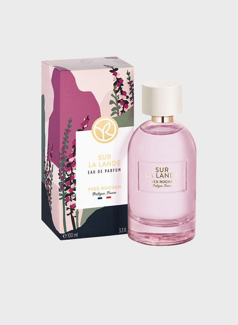 ايف روشيه عطر او دو بارفان سور لا لاند - Image 1
