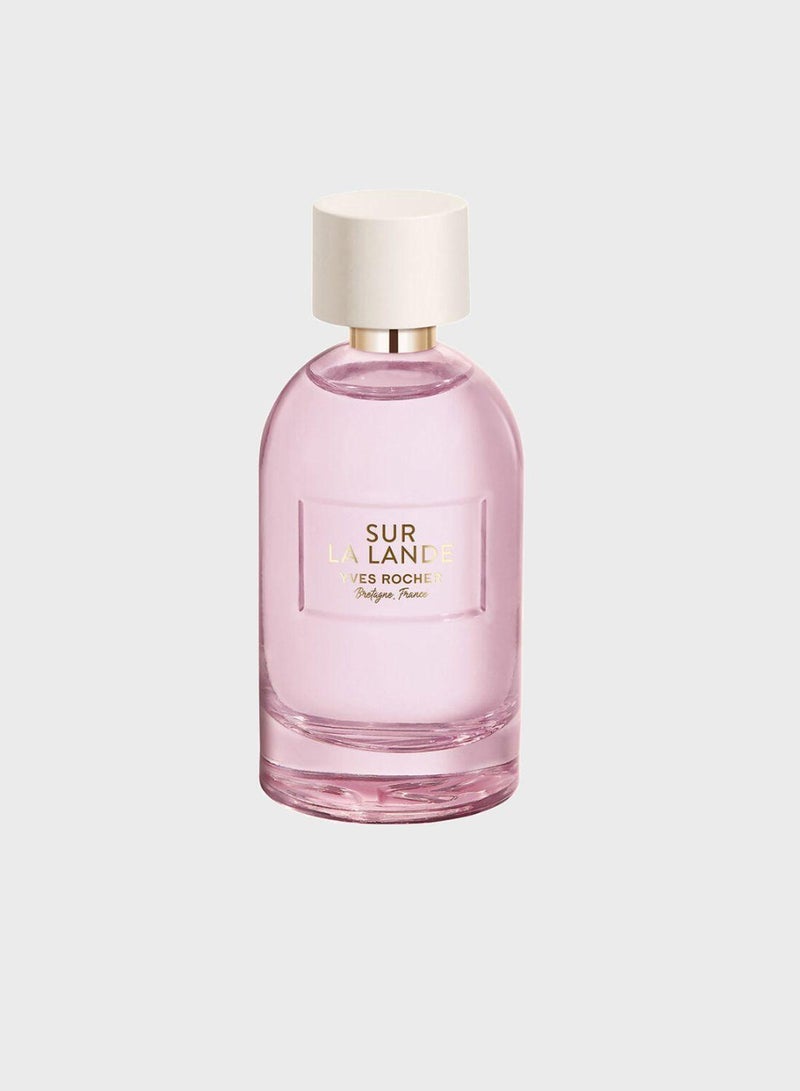 ايف روشيه عطر او دو بارفان سور لا لاند - Image 2