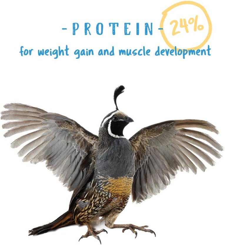 Manna Pro Gamebird Showbird Crumbles, Vitamin and Mineral Supplement for Poultry, Supports Growth, Feathering, and Overall Health, Complete Nutrition for Game and Show Birds, 6-Pack of 5 lb Bags - Image 4