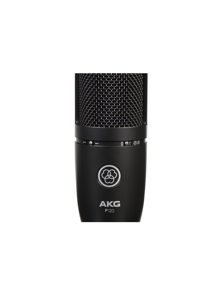 AKG P120 - Image 2