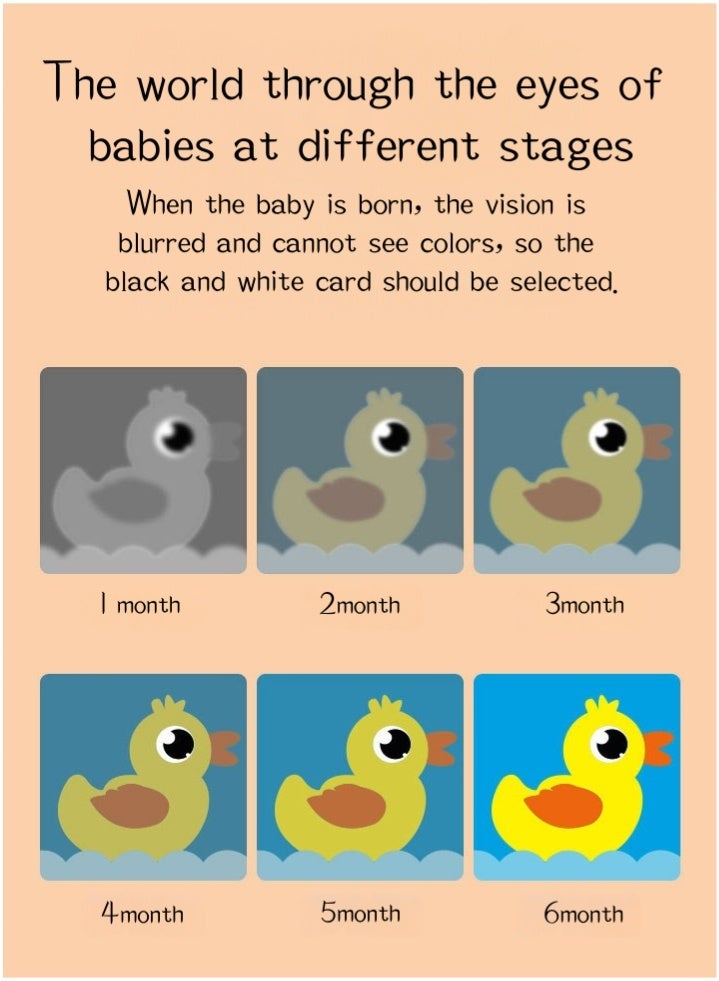 Eilimi 2 Sets High Contrast Baby Cards,40 Pcs 80 Page Black White Colorful Baby Flashcards Newborn Toys for Infants Visual Stimulation Brain Sensory Development(0-6 Months) - Image 5