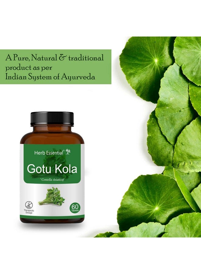 Herb Essential أقراص هيرب الأساسية جوتوكولا، 500 ملغ لكل منها، 120 قرص | جميعها طبيعية، أعشاب نقية - Image 4