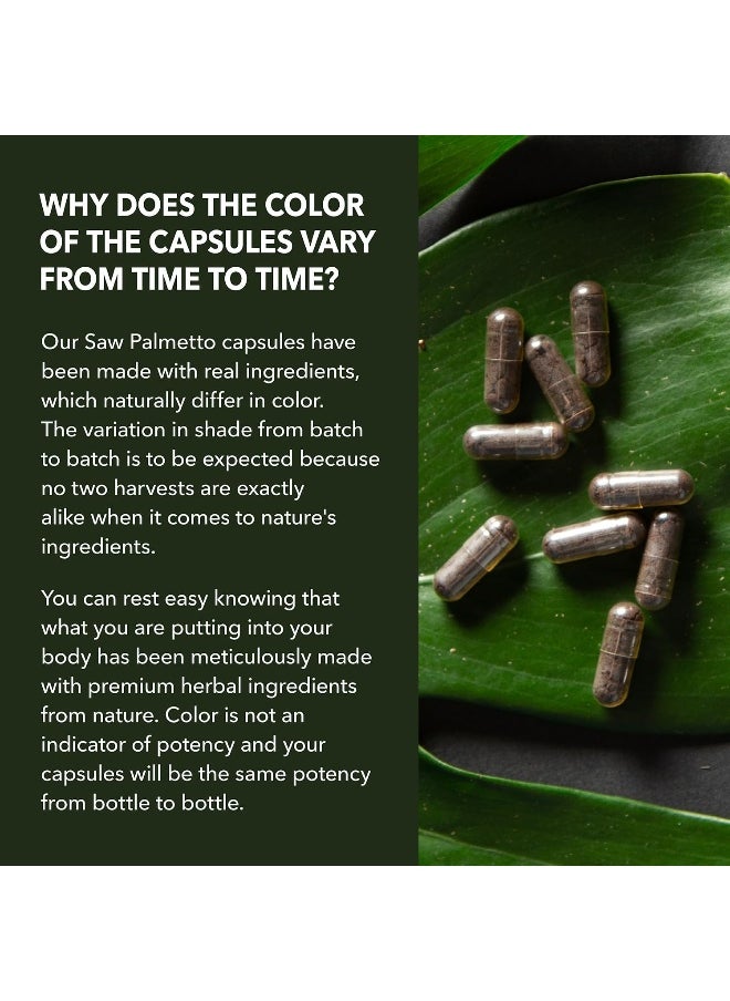Havasu Nutrition - Saw Palmetto Prostate Supplements for Men as DHT Blocker Hair Growth for Men to Reduce Balding & Hair Thinning | Extenze Youth & Reduce Prostate Inflammation | Over 6 Month Supply Mens Prostate Health - Image 1