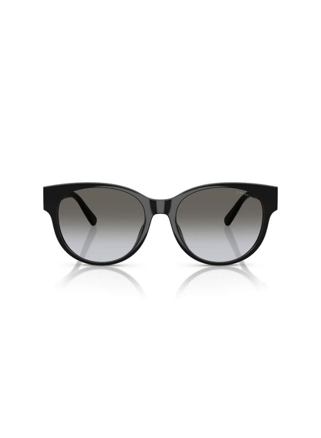 كوتش نظارة شمسية دائرية كاملة الإطار 8430D 50023C - Image 2