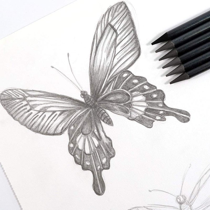 ArtBee Woodless Graphite Pencils 6 Piece HB 2B 4B 6B 8B and EE Suitable for Sketching Drawing and Shading - Image 3