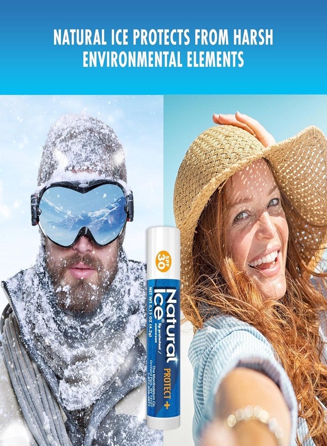 Mentholatum Natural Ice Protect+ Broad Spectrum SPF 30 Medicated Lip Balm, 0.15 Ounce (Pack of 9) - Image 5