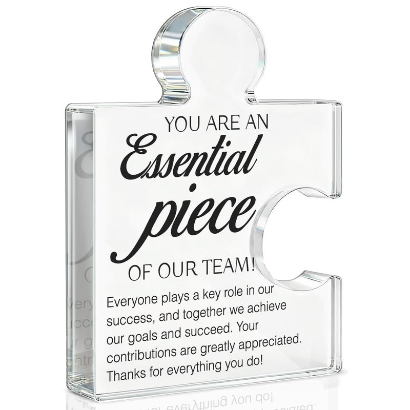 Yigaue Team Appreciation Gifts Thank You Gift for Coworkers Colleagues Employees, Best Team Ever Gifts You Are an Essential Piece Acrylic Puzzle Piece Plaque Office Decor - Image 1