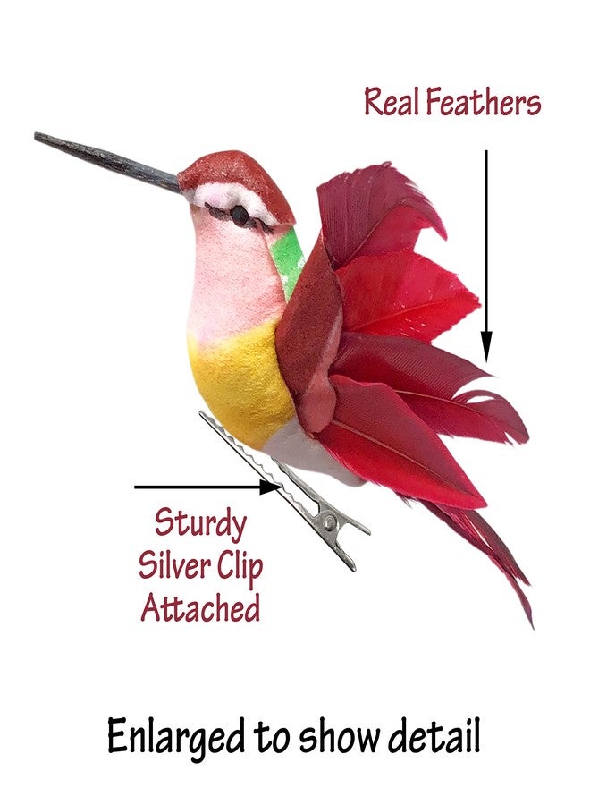 BANBERRY DESIGNS Hummingbird Clip On Decorations - Set of 12- Wings Spread - Assorted Colors - Silver Clips Attached - Home Décor - Craft Birds - Holiday Decorations - 4.5" L X 4" W - Image 4