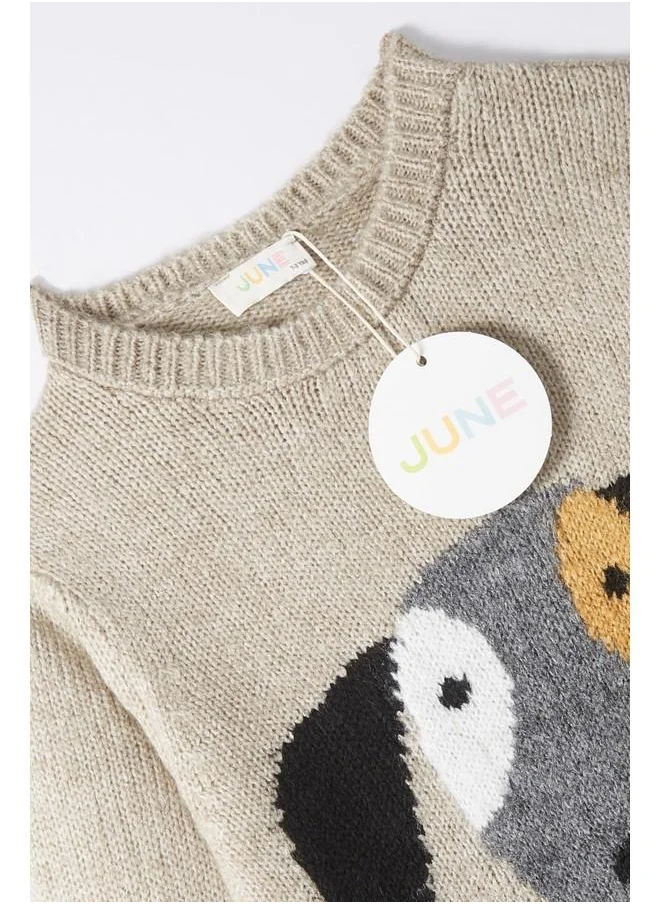 جون June Boy Dog Patterned Sweater Anthracite