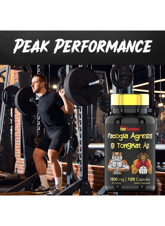 Health & Household - Tongkat Ali For Men: 1200 Mg X 120 Capsules | Also Known As Longjack Root | 100% All-Natural & Ultra Potent Tongkat Ali Supplement | Energy, Power, Strength, Athletic Performance, & Sports Nutrition - Image 1