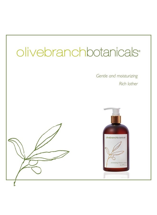 Gilchrist & Soames - Olive Branch Shower Gel & Body Wash 12Oz Gently Cleansing Zero Parabens Sulfates And Phthalates - Image 1