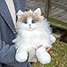 Chongker Weighted Stuffed Animals 3lb 22 Realistic Plush Cat Cuddling Soft Pillows for Children Adults and The Elderly Pet Companionship Ragdoll Cat - Image 4