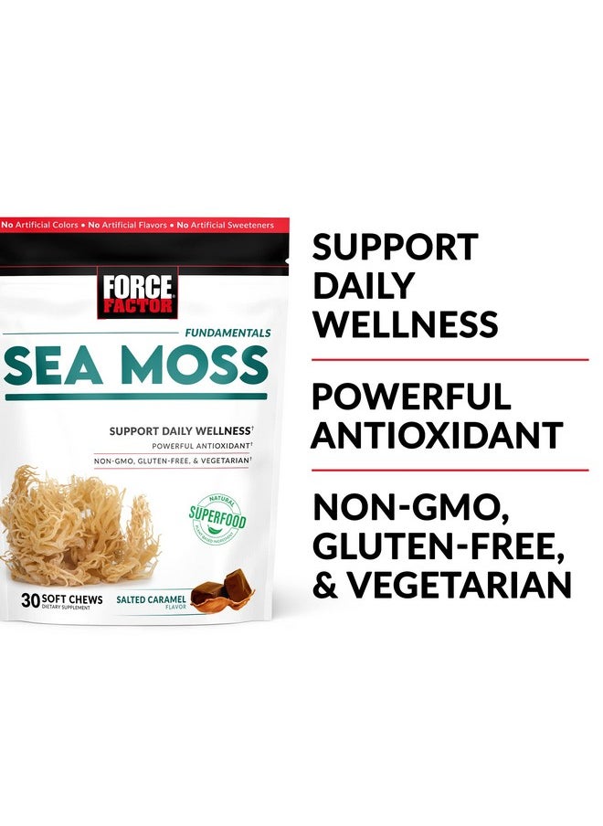 Force Factor - Sea Moss Soft Chews Support Immunity Digestion And Heart Health Irish Sea Moss Superfood & Antioxidants Supplement Nongmo Glutenfree Salted Caramel Flavor 30 Soft Chews - Image 1