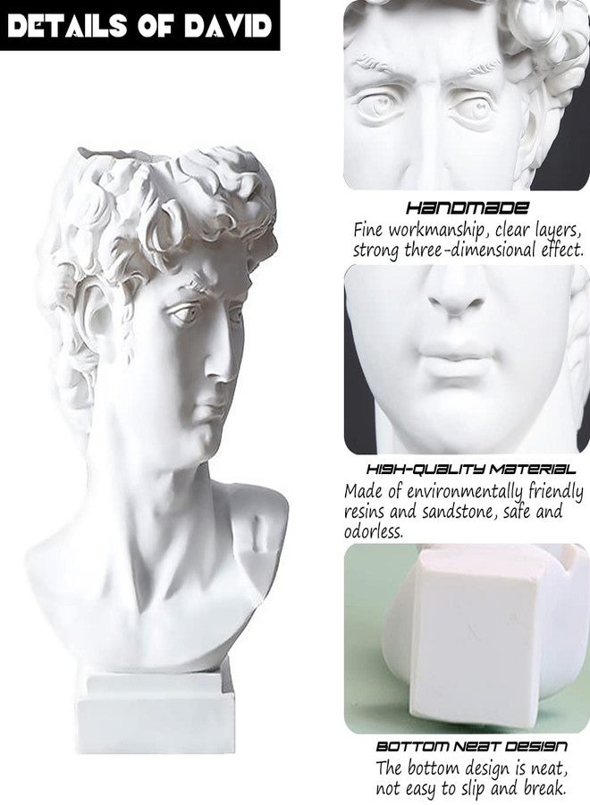 fazhongfa Greek Statue of David Bust Resin Sculpture for Roman Bookshelf Tabletop Office Home Decor 6.5 Inch David Head Artist Figurine Succulent Planters Dried Flowers Vase Makeup Brush Pen Holders - Image 4