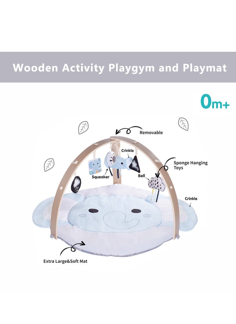 Nyra Wooden Activity Play Gym For Infants With Soft Cushion Floor and Removable Plush Toys -Elephant - pzsku/ZC5FDD5C23449E3412B08Z/45/_/1740403011/cd51ec82-5b5d-44f8-811f-e929246e7c13