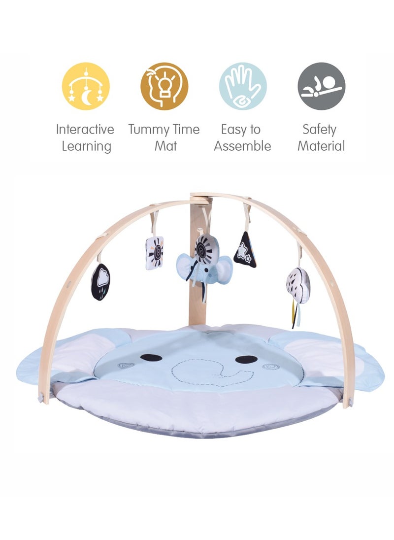 Nyra Wooden Activity Play Gym For Infants With Soft Cushion Floor and Removable Plush Toys -Elephant - pzsku/ZC5FDD5C23449E3412B08Z/45/_/1740403013/9d059d69-4dee-4ab6-b0f4-0198bd7805a9