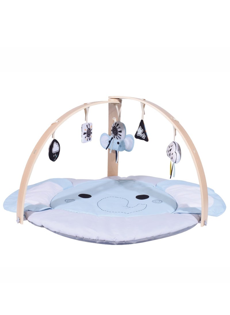 Nyra Wooden Activity Play Gym For Infants With Soft Cushion Floor and Removable Plush Toys -Elephant - pzsku/ZC5FDD5C23449E3412B08Z/45/_/1740403014/8b5bf416-a7f3-488b-afdf-8ff07c6864de