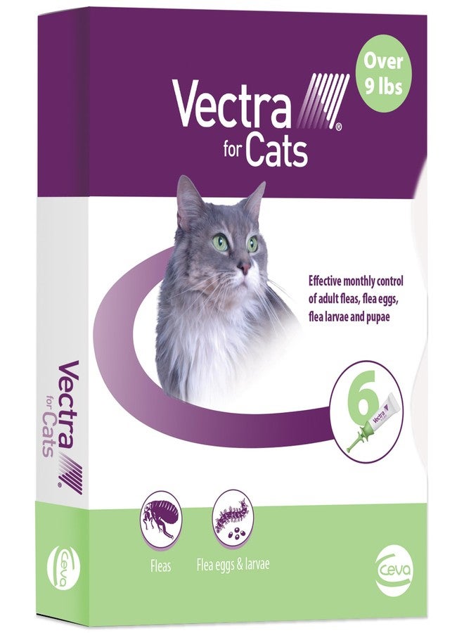 Vectra for Cats Flea Treatment & Prevention for Large Cats (Over 9 lbs.) 6-Month Supply - Image 1