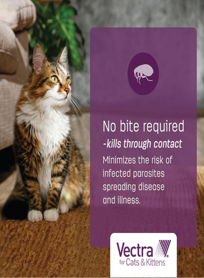 Vectra for Cats Flea Treatment & Prevention for Large Cats (Over 9 lbs.) 6-Month Supply - Image 5