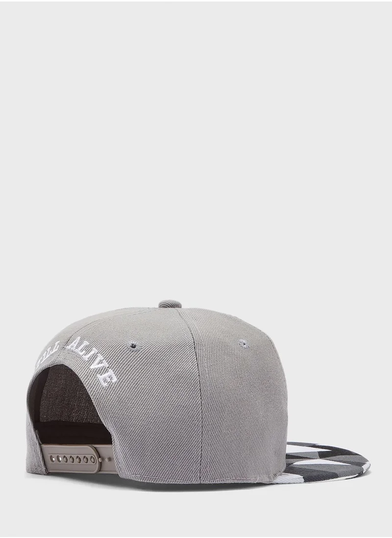 Seventy Five Animated Zebra Print Cap