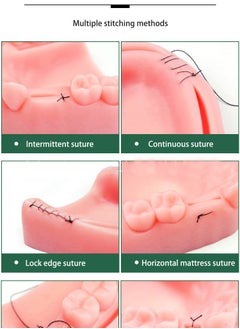 Gasin Medical Students Practice Oral suturing Module Teaching Training Tool Kit  - Image 3