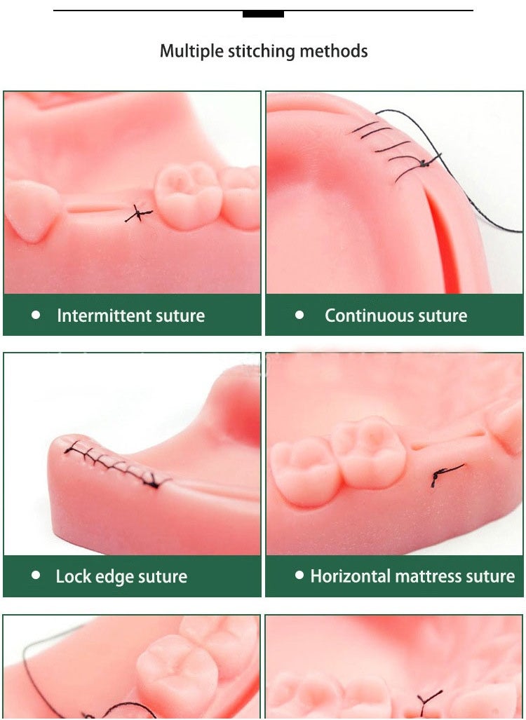 Gasin - Medical Students Practice Oral suturing Module Teaching Training Tool Kit - Image 1