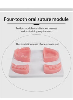 Gasin Medical Students Practice Oral suturing Module Teaching Training Tool Kit  - Image 4