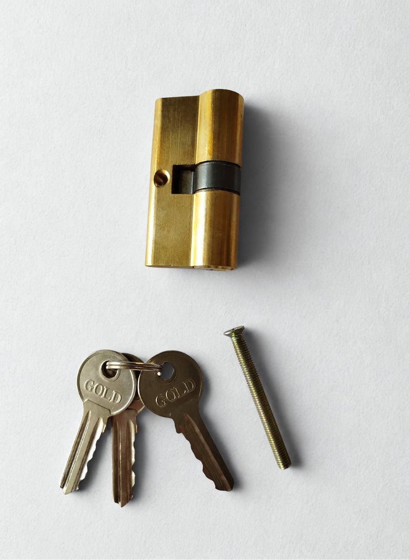 Siag GOLD Door Cylinder with 3 Keys - Image 1
