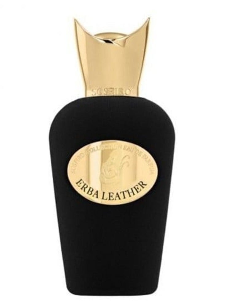 سوسبيرو عطر سوسبيرو ايربا ليذر او دو بارفيوم 100مل - Image 1