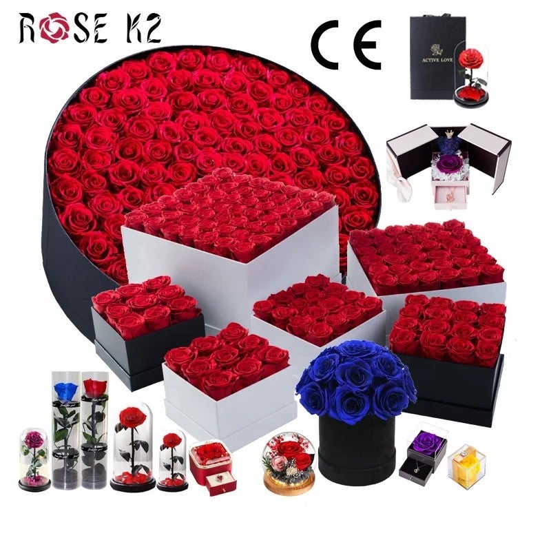 Bluejw Eternal Rose Gift for Mom, Preserved Flower in Glass Dome with LED, Forever Roses Valentines Day, Dried Plants Decor - Image 2
