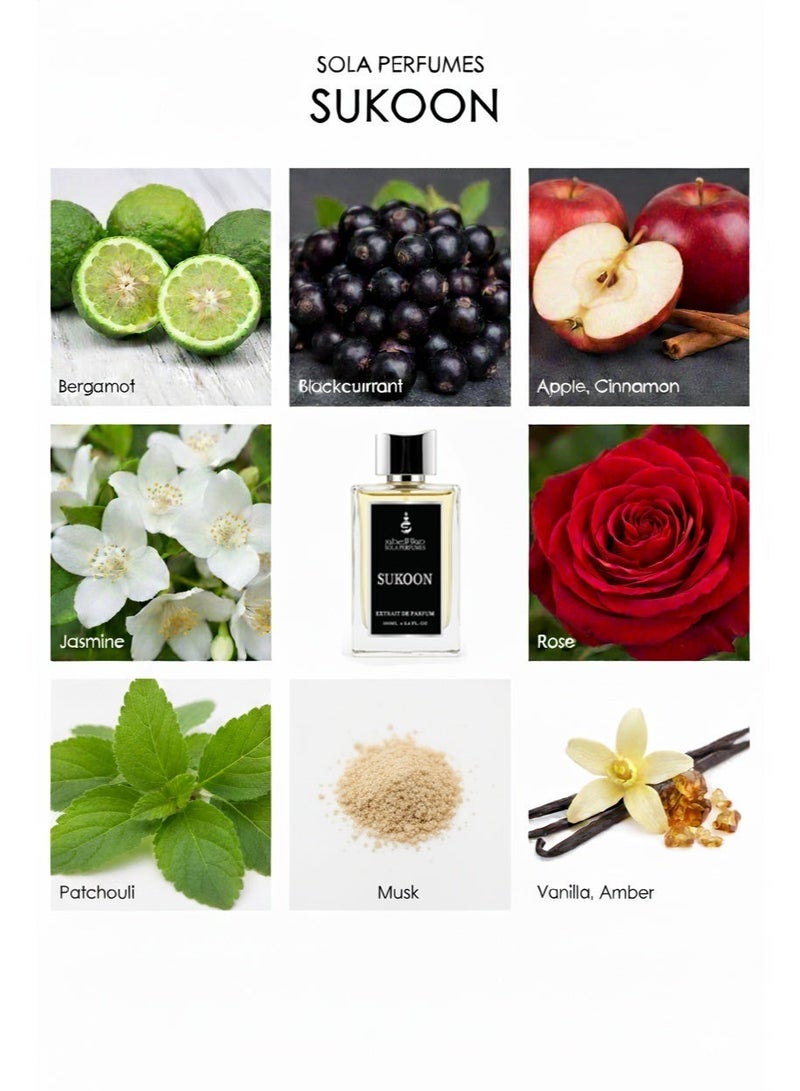 SOLA Sukoon (Unisex Extrait de Parfum – 100ml) - Image 4