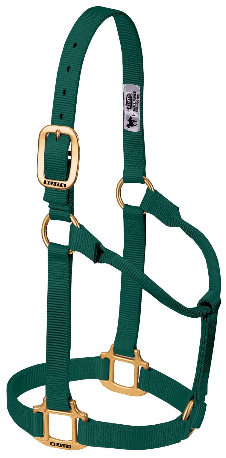 Weaver Leather هالتر ويڤر ليذر الأصلي غير القابل للتعديل (أخضر صيد، حصان متوسط/جرو سنوي) - Image 1
