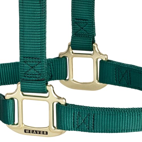 Weaver Leather هالتر ويڤر ليذر الأصلي غير القابل للتعديل (أخضر صيد، حصان متوسط/جرو سنوي) - Image 5