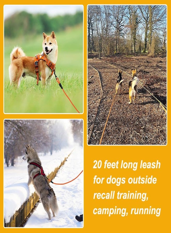 Vivifying Floating Long Dog Leash, 20ft Dog Training Leash for Outside and Yard, Reflective Long Line Lead with Soft Handle for Beach and Swimming (Orange) - Image 4