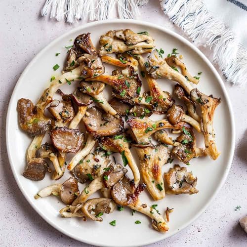Greenify Seasonal Oyster Mushroom Growing Kit | 400gm Grain Spawn + 2 PP Bags | High Yield First Generation POB | Edible White Oyster Mushroom Seed/Spawn for Home Gardening - Image 5