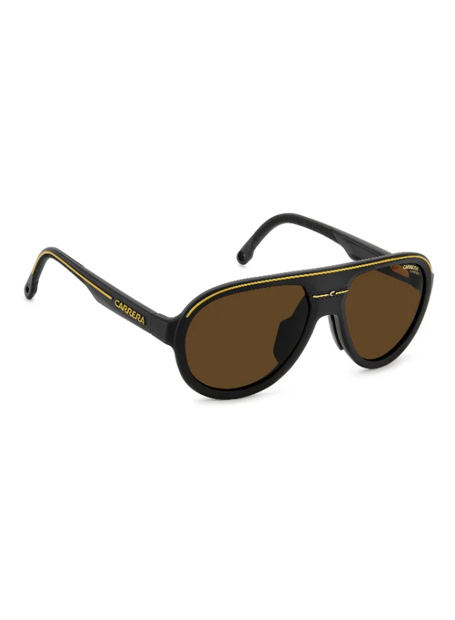 Carrera Pilot Carrera Sunglasses