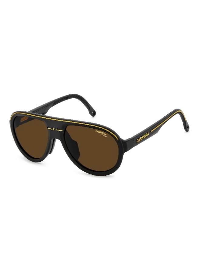 Carrera Pilot Carrera Sunglasses
