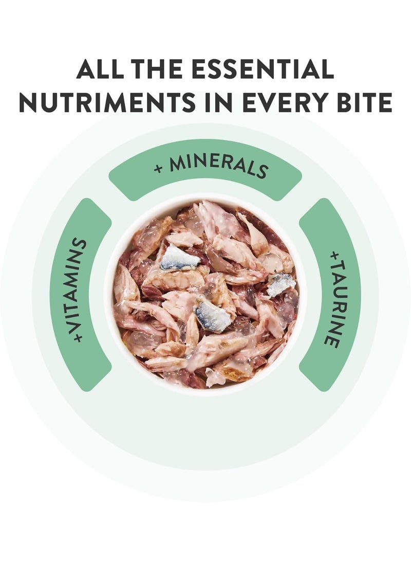 Schesir Tuna with Seabass in Jelly Complete and Balanced Wet Food for Adult Cats - Image 5