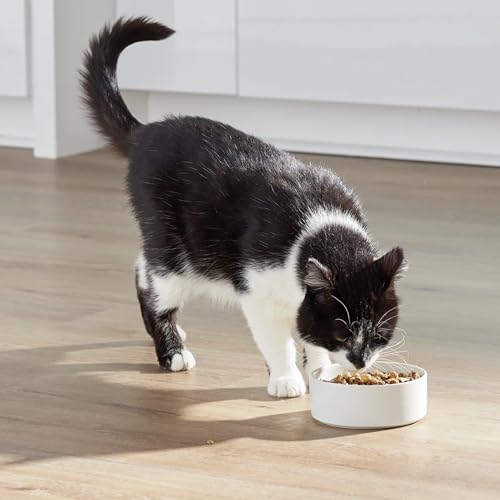 Open Farm, RawMix Dry Cat Food, Protein-Packed Kibble Coated in Bone Broth with Freeze Dried Raw Chunks, for Indoor & Outdoor Cats, Chicken & Turkey Grain-Free Recipe, 8lb Bag - Image 3