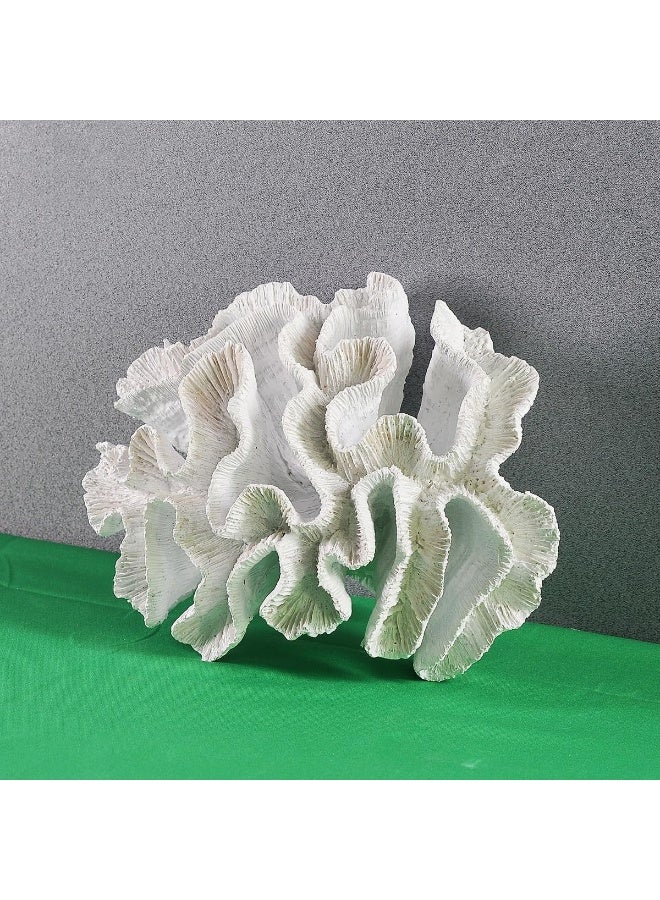 YINZUO YINZUO Coral Fat Resin Ornaments with Shells Coastal Home Decoration Figurines Beach-Inspired Coral Shell Decor for Living Room, Bathroom, and Office (White)  - Image 1