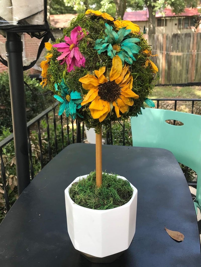 ACTIVA Flower Drying Art Silica Gel 5lb - Preserve Flowers with Non-Toxic Moisture Absorbing Crystals - Image 5