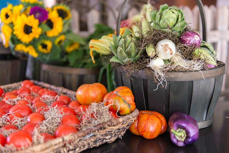 SuperMoss (26926) Spanish Moss Dried, Natural, 3 Pounds - Image 5