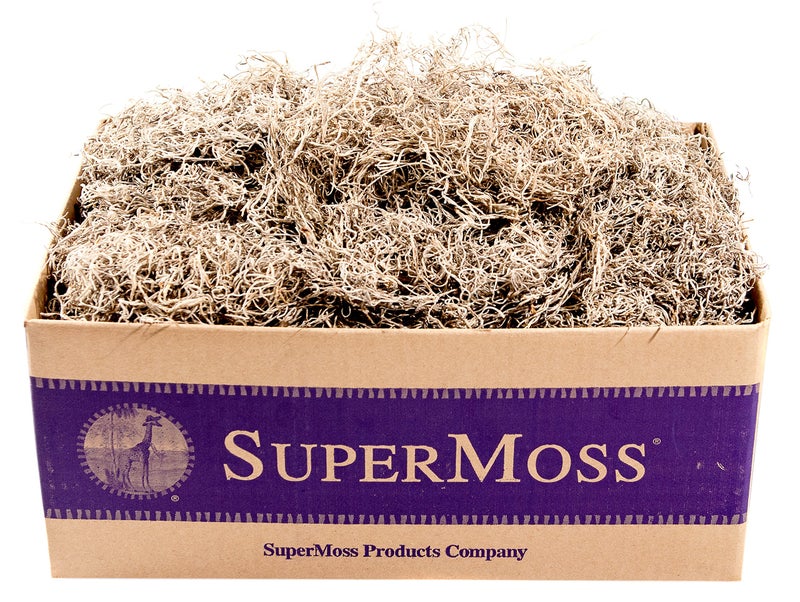 SuperMoss (26926) Spanish Moss Dried, Natural, 3 Pounds - Image 1