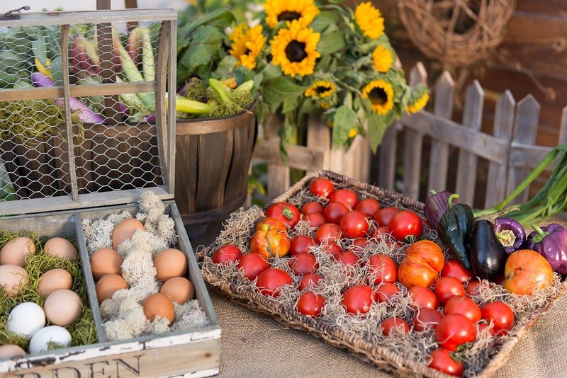 SuperMoss (26926) Spanish Moss Dried, Natural, 3 Pounds - Image 3