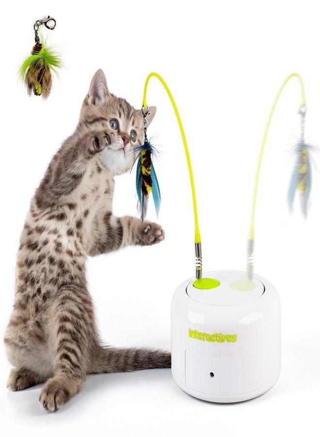 ALL FOR PAWS Interactive Cat Toy, Automatic Cat Toys with Moving Insects for Indoor Bored Cats, Fun Kitten Toy with Motion Sensor, Teaser Flying Feather Wand, Replacement Insect Toy - Image 1