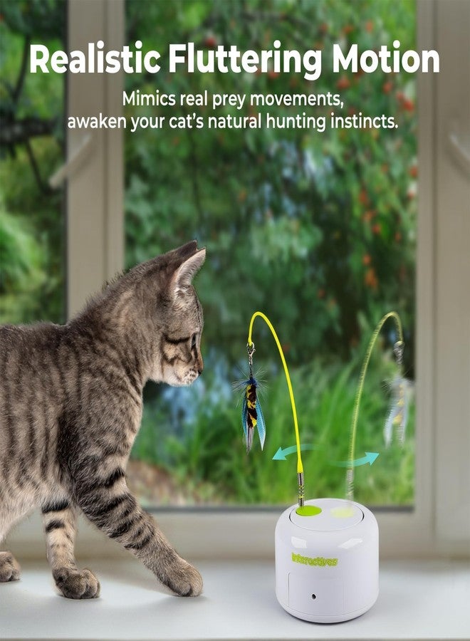 ALL FOR PAWS Interactive Cat Toy, Automatic Cat Toys with Moving Insects for Indoor Bored Cats, Fun Kitten Toy with Motion Sensor, Teaser Flying Feather Wand, Replacement Insect Toy - Image 2