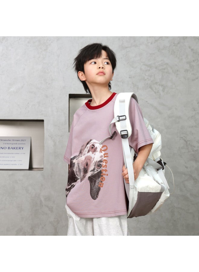 Luson Chen Dazhu Children's Wear Boys' Short Sleeve T-shirt New Children's Cartoon Pattern Round Neck Breathable Casual Top Tide - Image 3