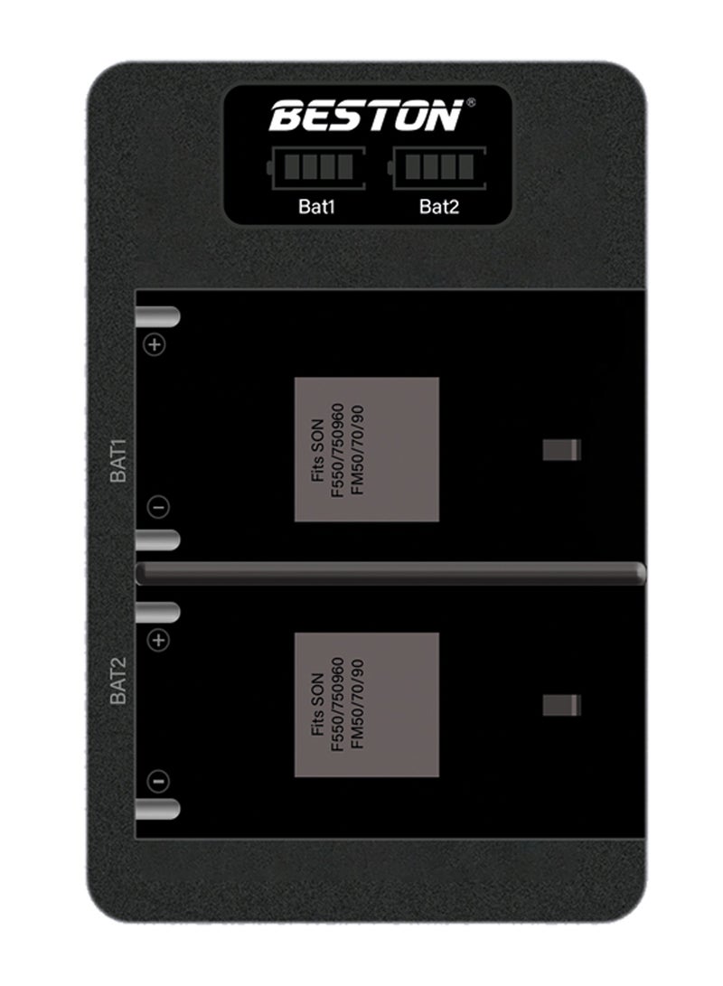 بيستون شاحن مزدوج BESTON لبطاريات Sony F550 بمنفذ USB Type-C - Image 1